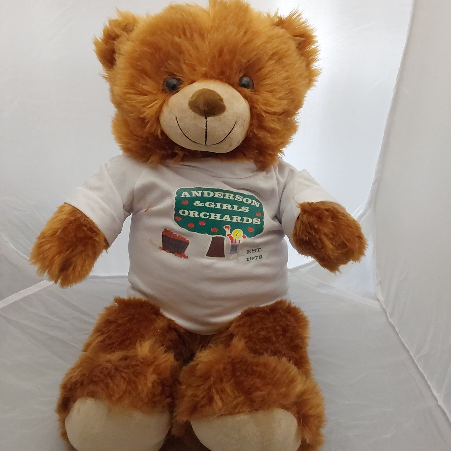 ANDERSON 18" BEAR