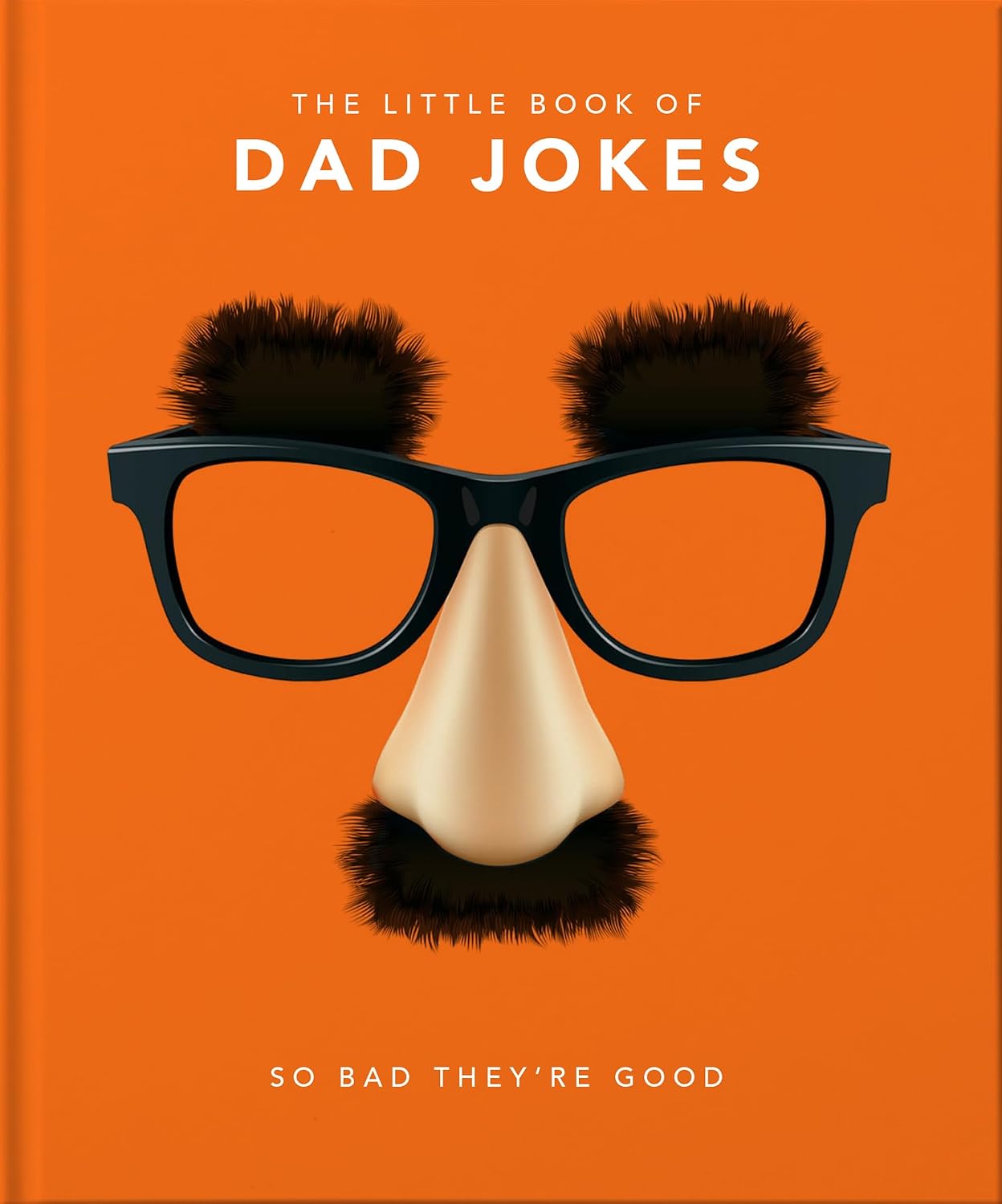 Little Book of Dad Jokes