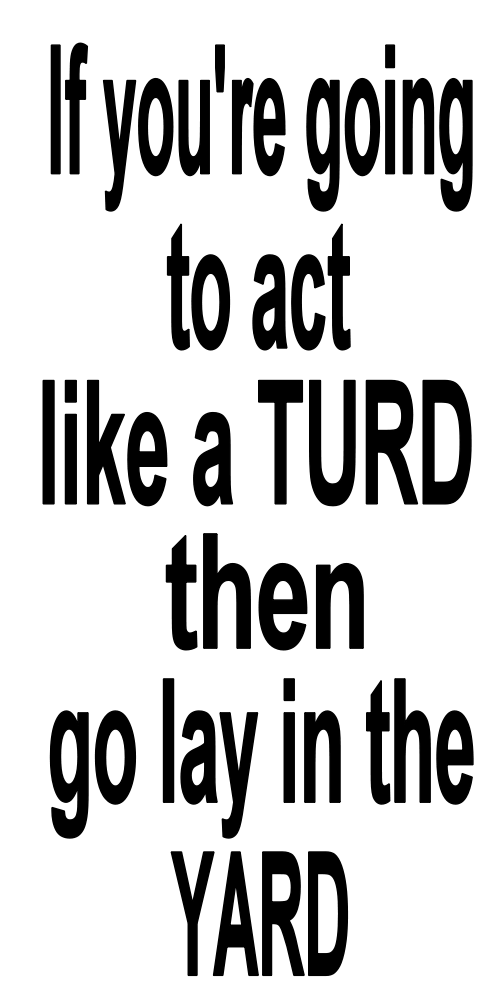 IF YOU'RE ARE GOING TO ACT LIKE A TURD THEN GO LAY IN THE YA