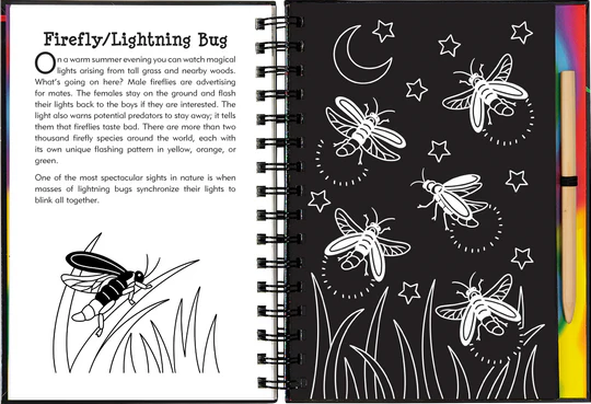 NOCTURNAL ANIMALS SCRATCH & SKETCH