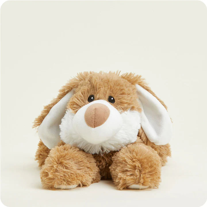 BROWN & WHITE BUNNY