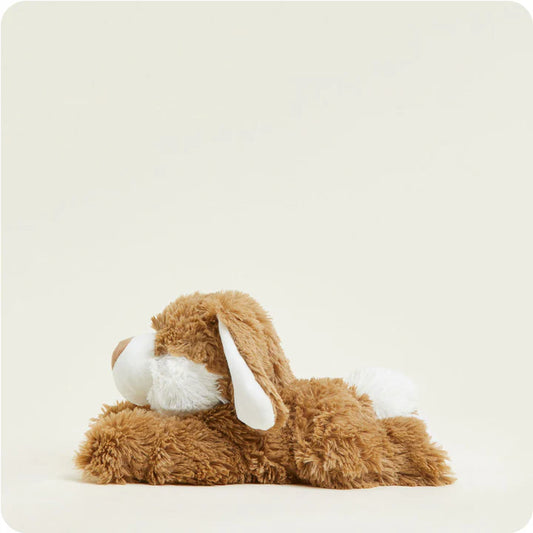 BROWN & WHITE BUNNY