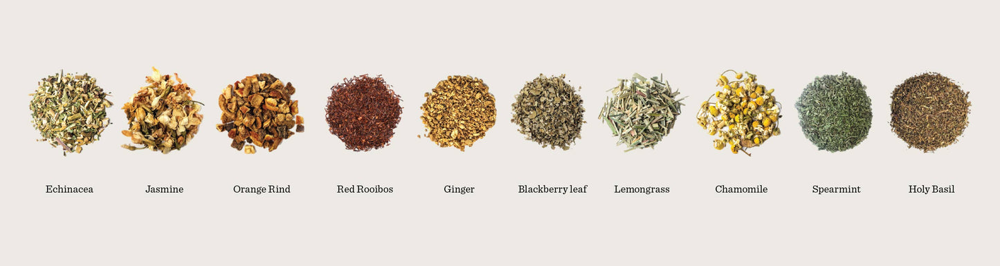 Healing Honeysuckle Loose Leaf - 15 Servings