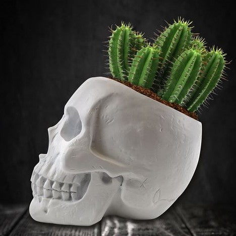 Skull Planter Cactus Grow Kit