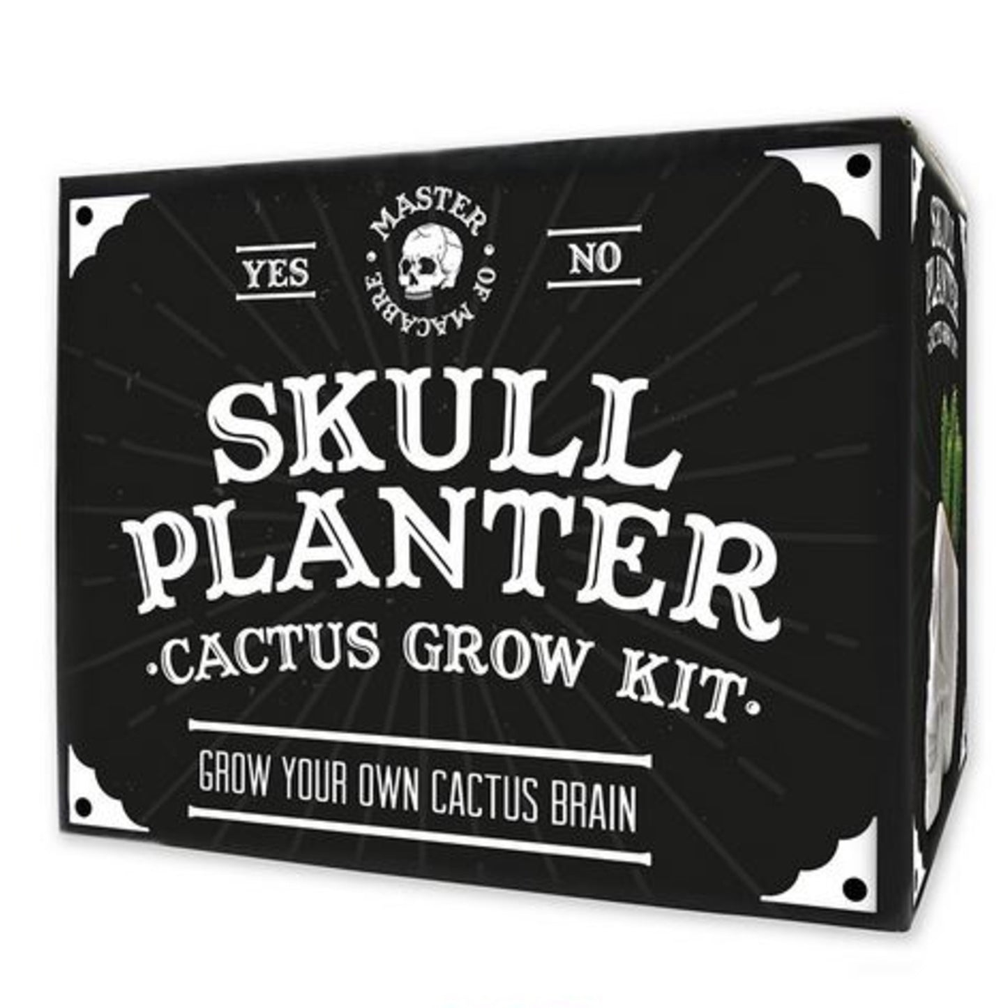 Skull Planter Cactus Grow Kit
