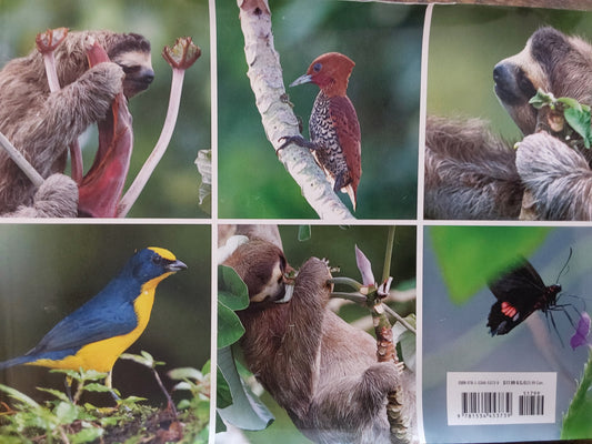 HAPPY SLOTH DAY! HARDCOVER