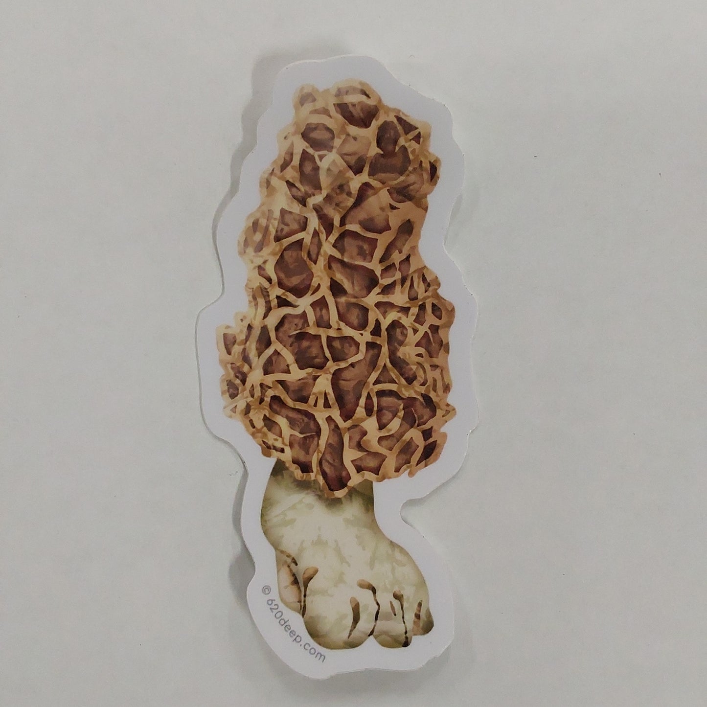 MOREL MUSHROOM STICKER