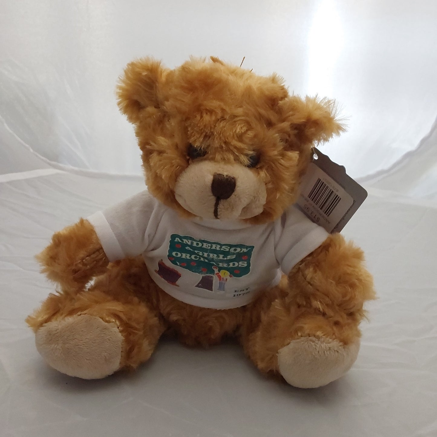 ANDERSON 6" BEAR