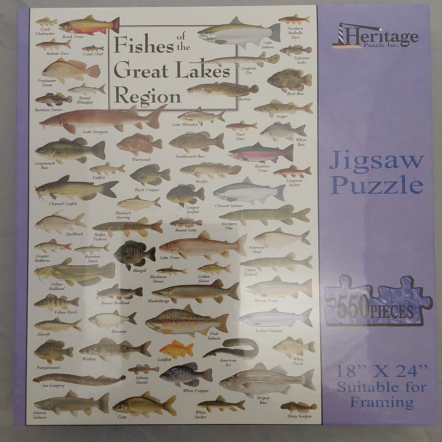 FISH OF GREAT LAKES PUZZLE