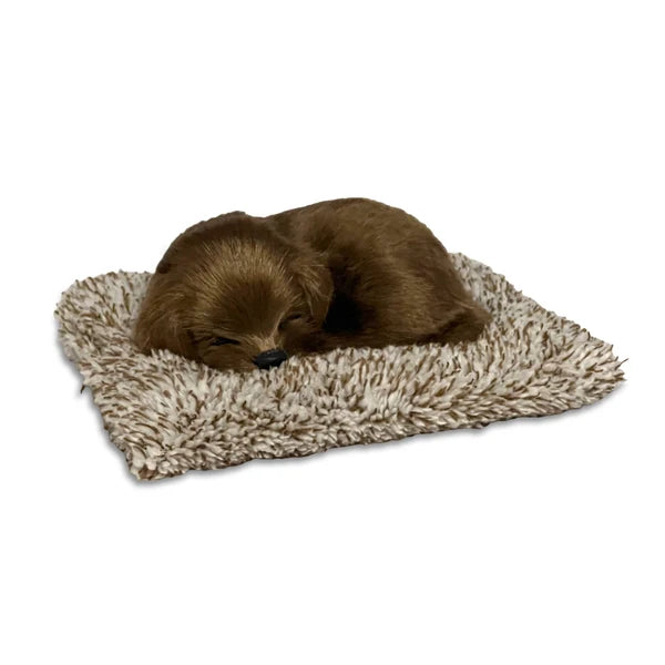 Perfect Petzzz Mini Chocolate Lab