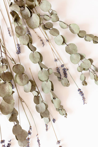 5.5 oz Wax Melts: Eucalyptus Lavender