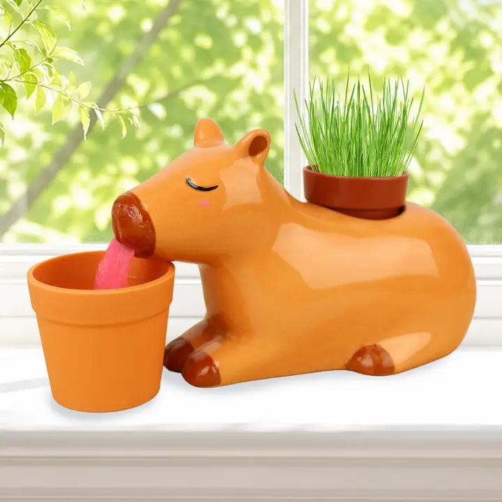 SELF WATERING CAPYBARA PLANTER