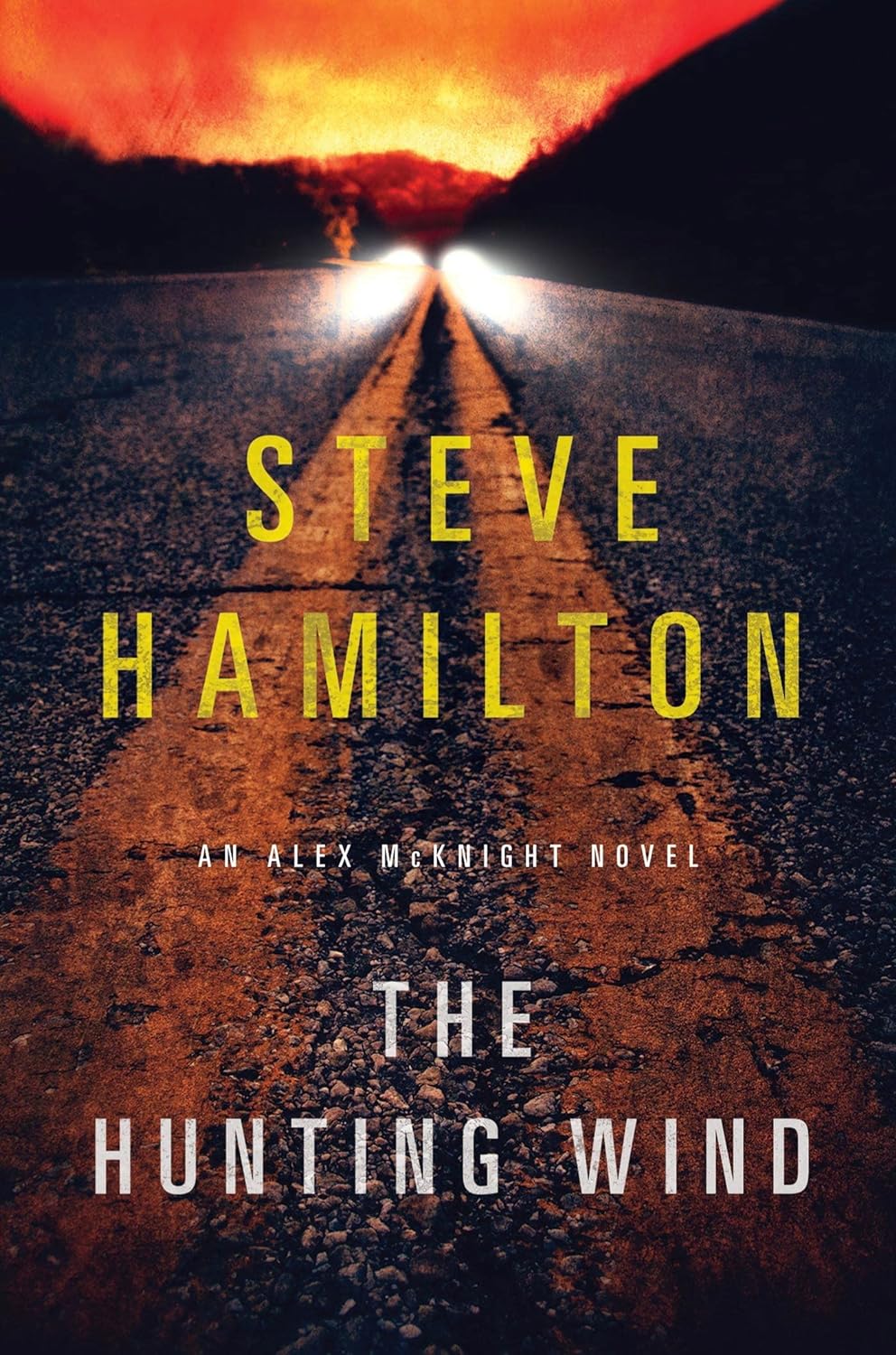 THE HUNTING WIND BY STEVE HAMILTON #3