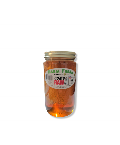 RAW HONEY COMB 1LB 100% PURE UNFILTERED USA HONEYCOMB