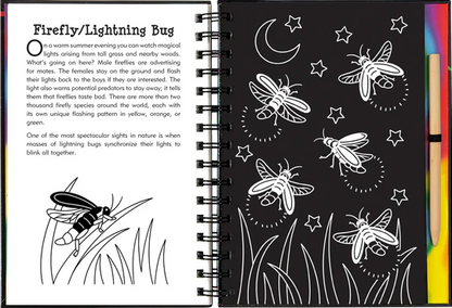 NOCTURNAL ANIMALS SCRATCH & SKETCH