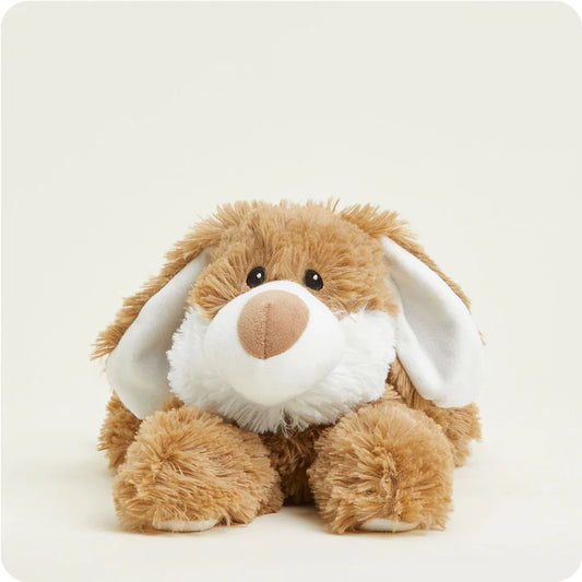 BROWN & WHITE BUNNY