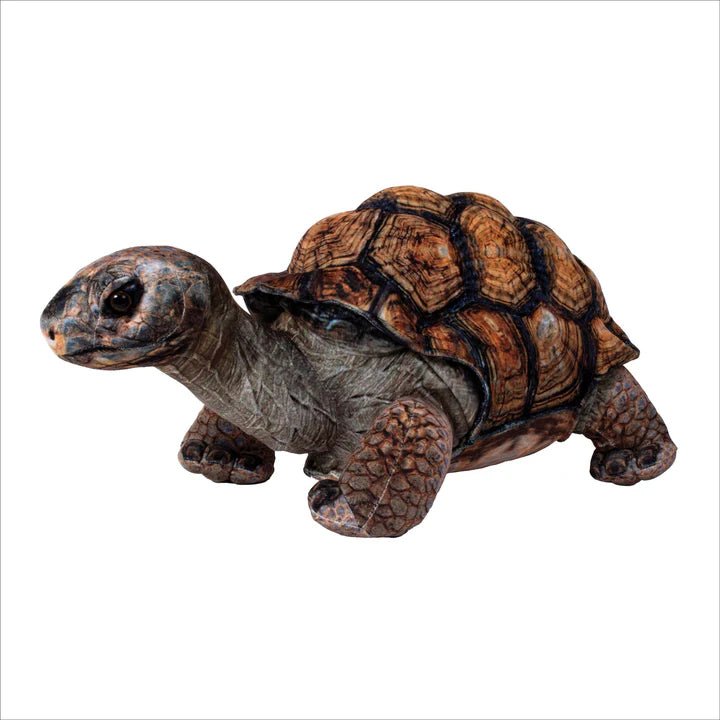 DESERT TORTOISE 13"