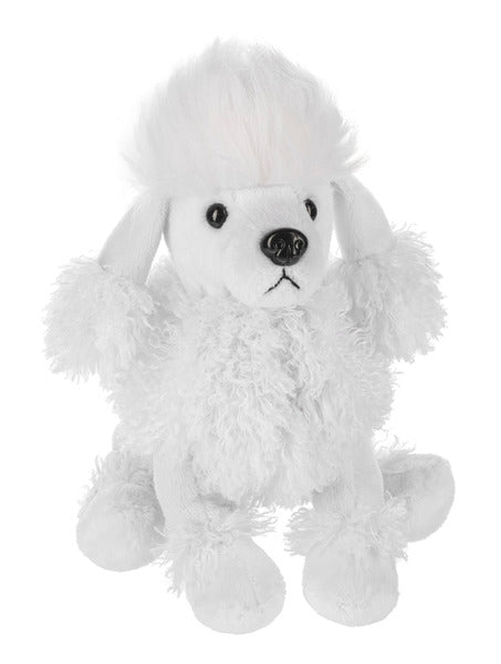 WHITE POODLE WEBINZ