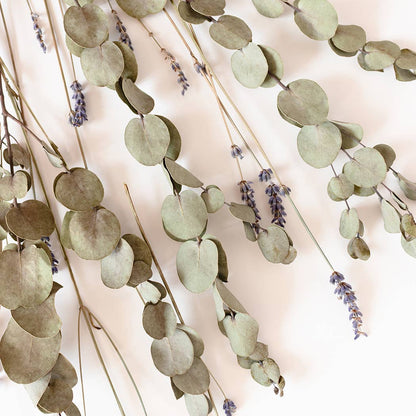 5 oz Cream Jar Candle: Eucalyptus Lavender