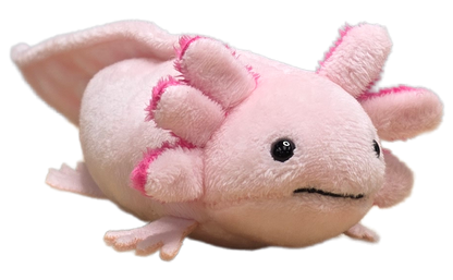 Canned Baby Axolotl | Stuffed Mini Axolotl Plush w/Jokes