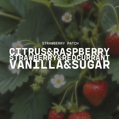 5.5 oz Wax Melts: Strawberry Patch