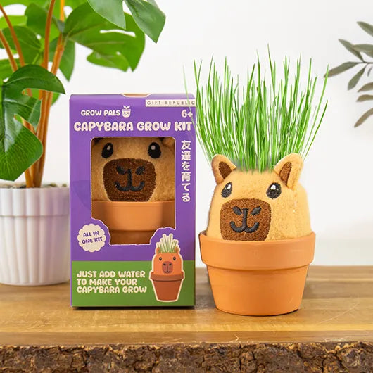 CAPYBARA GROW PAL