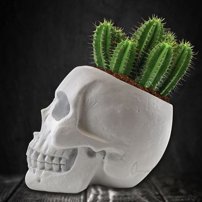 Skull Planter Cactus Grow Kit