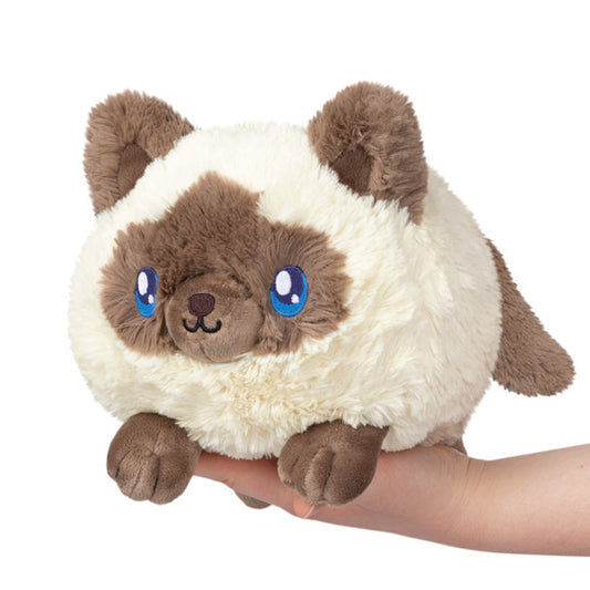 MINI SQUISHABLE COLORPOINT KITTY