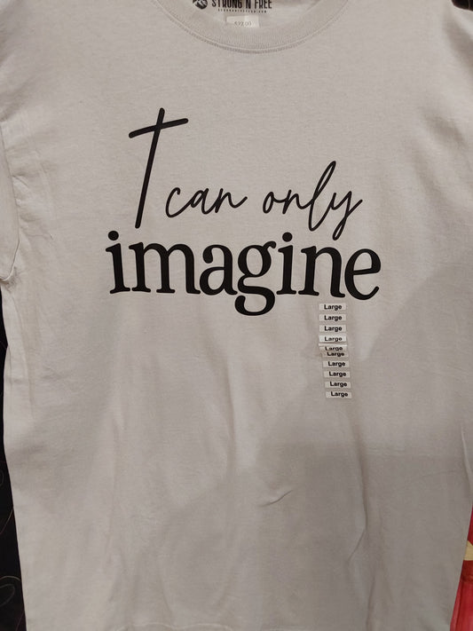 I Can Only Imagine Christian T-Shirt/Hoodie