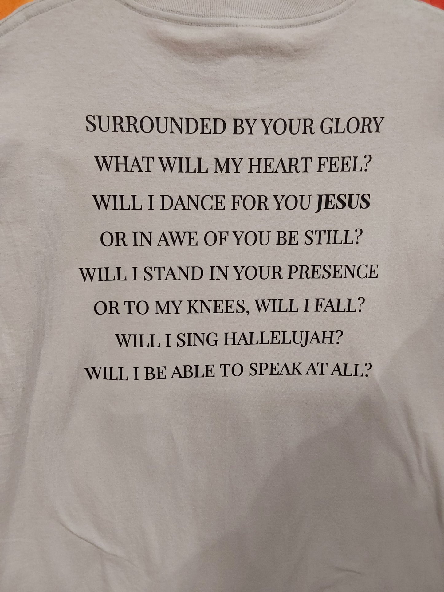I Can Only Imagine Christian T-Shirt/Hoodie