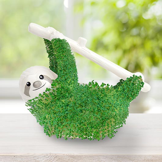 Sloth Planter with Seeds